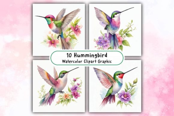 Download Hummingbird Watercolor Clipart - Hummingbird watercolor Collection