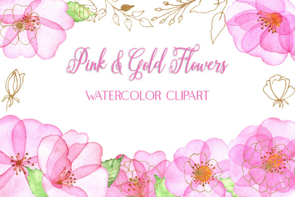 Download Watercolor Clipart of Soft Pink Flowers - Flower Collection