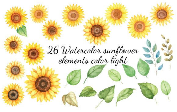 Download 26 Watercolor Sunflower Elements Color - Flower Collection