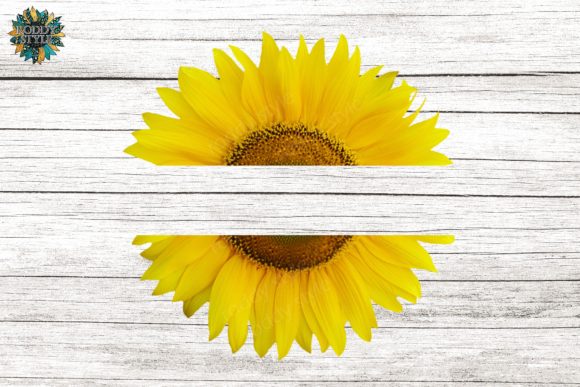 Download Split Sunflower Sublimation Transparent - Flower Collection