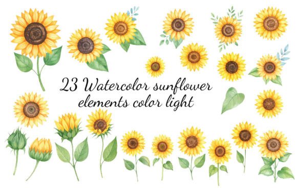 Download 23 Watercolor Sunflower Elements Color - Flower Collection