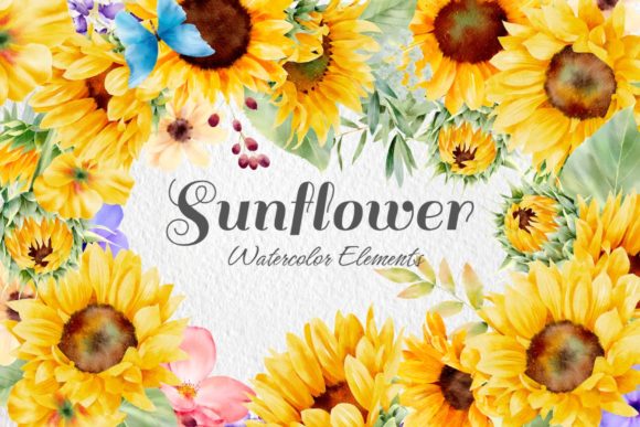 Download Sunflower Watercolor Elements 2 - Flower Collection