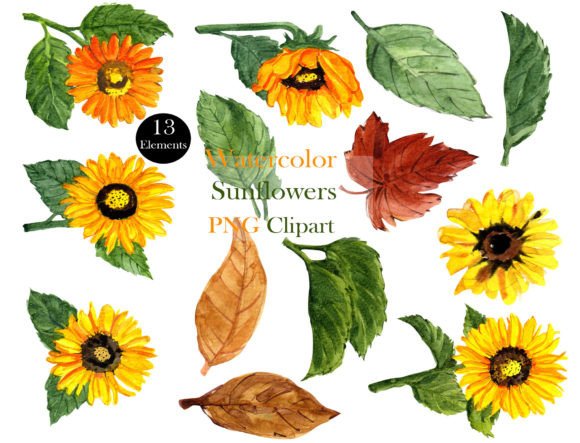 Download Elegant Watercolor Sunflower Clipart Set - Flower Collection