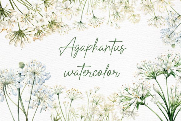 Download White Wild Flowers Clipart Watercolor - Flower Collection