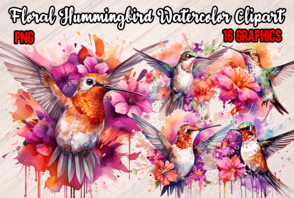 Download Floral Hummingbird Watercolor Clipart - Hummingbird watercolor Collection