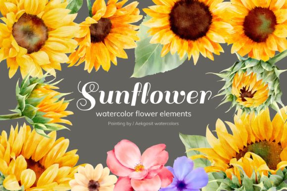 Download Sunflower Watercolor Elements - Flower Collection