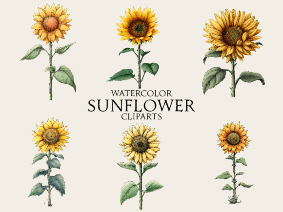 Download Watercolor Sunflower Clipart - Flower Collection