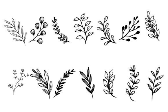 Download Botanical Leaf Wildflower Line Art - Flower Collection