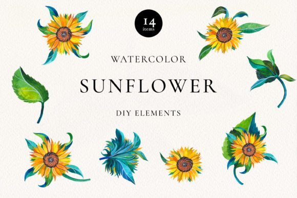 Download Sunflowers Watercolor Elements PNG - Flower Collection