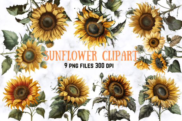 Download Sunflower Clipart Set - Flower Collection