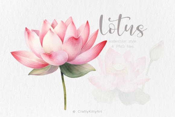 Download Pink Lotus Flower PNG Watercolor Bundle - Flower Collection