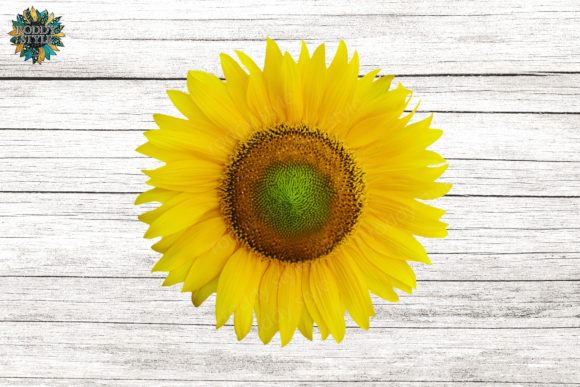 Download Sunflower Design PNG Sublimation - Flower Collection
