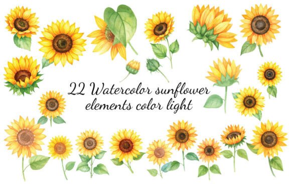 Download 22 Watercolor Sunflower Elements Color L - Flower Collection