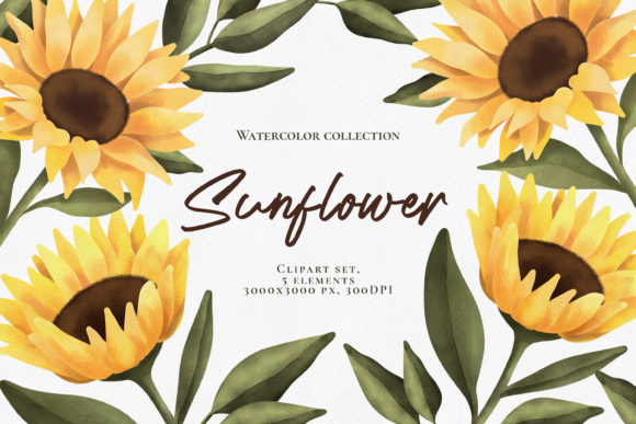 Download Watercolor Sunflower Clipart Set. PNG - Flower Collection
