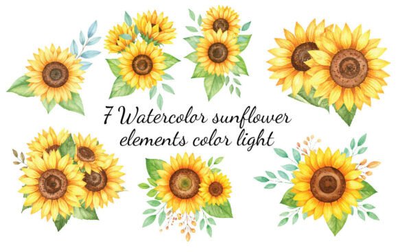 Download 7 Watercolor Sunflower Elements Color - Flower Collection