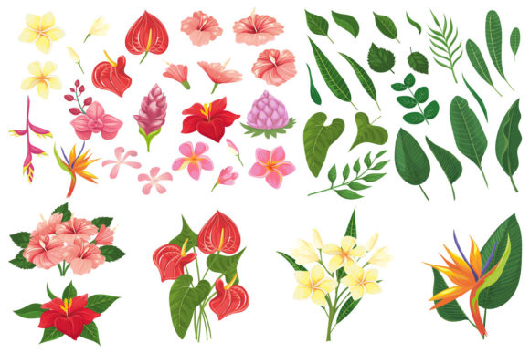 Download Tropic Forest Flowers - Flower Collection