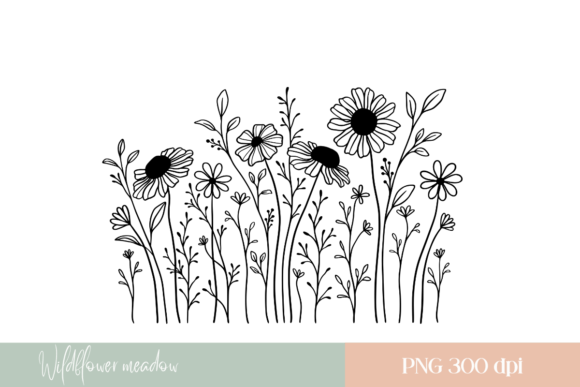 Download Wildflower Meadow PNG - Flower Collection