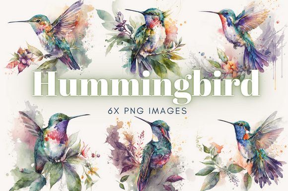 Download Hummingbird Watercolor Clipart - Premium Bundle