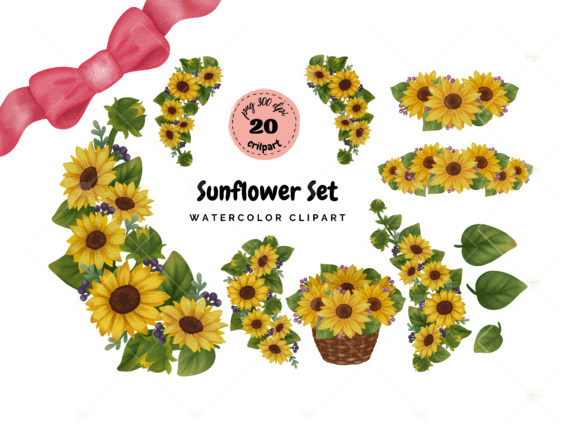 Download Watercolor Sunflower Set with Bonus!! - Flower Collection