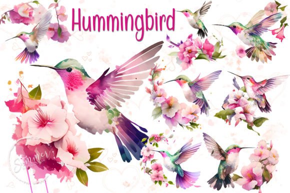 Download Cute Hummingbird Watercolor Clipart - Premium Bundle