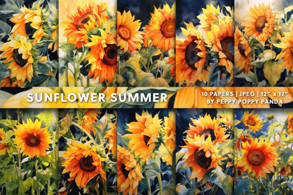 Download Sunflower Summer Background Texture - Flower Collection