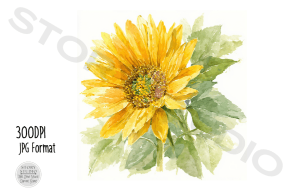 Download Watercolor Sunflower Clipart Set - Flower Collection