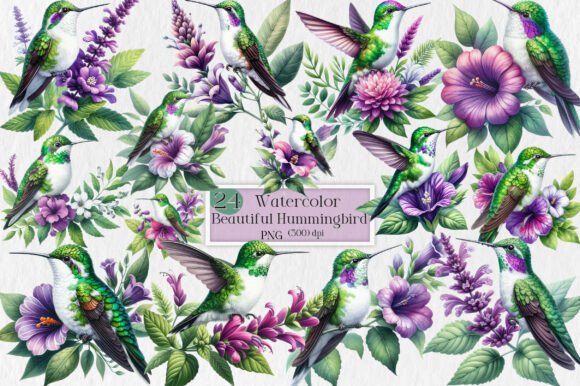 Download Beautiful Hummingbird Watercolor Clipart - Hummingbird watercolor Collection